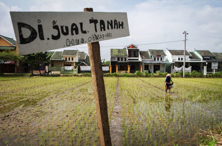 Bekasi Ingin Ada Lahan Pertanian Abadi