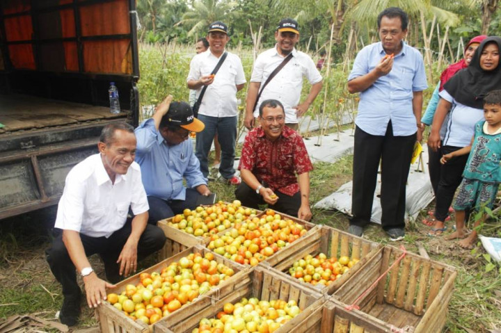 SOLID, Upaya BKP Kementan Berdayakan Petani Miskin