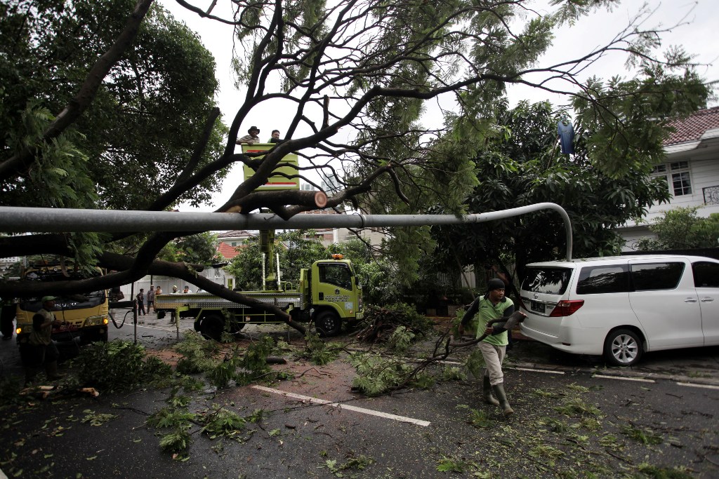 Petugas memotong pohon tumbang yang menimpa lampu penerangan jalanan umum (PJU) dan sebuah mobil di Jalan Purworejo, Menteng, Jakarta Pusat. Foto: MI/Arya Manggala.