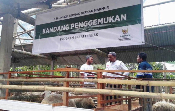 BAZNAS Kembangkan Balai Ternak di Magelang