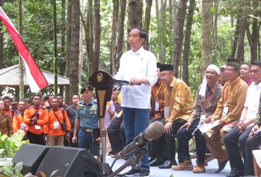 Presiden Jokowi Minta Masyarakat Menanam Selain Sawit