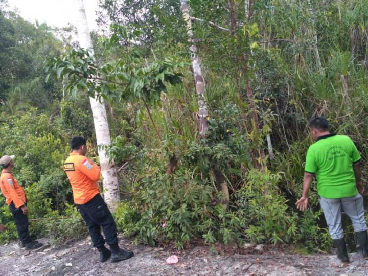 SAR Gabungan Cari Warga Hilang Masuk Hutan Lingga