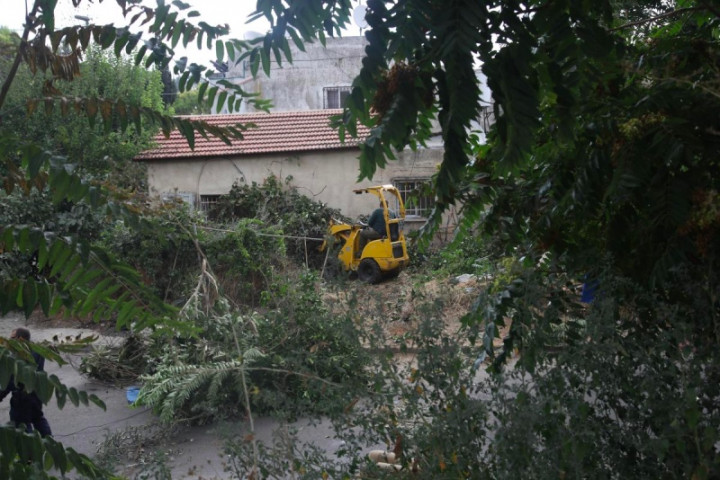 100 Pohon Petani Palestina Dihancurkan Pemukim Israel