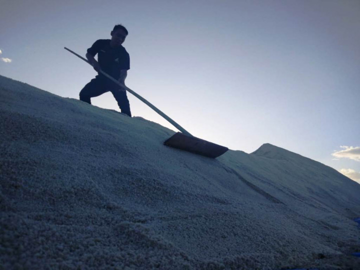 Pemerintah Berencana Impor Gula dan Garam Industri di 2019