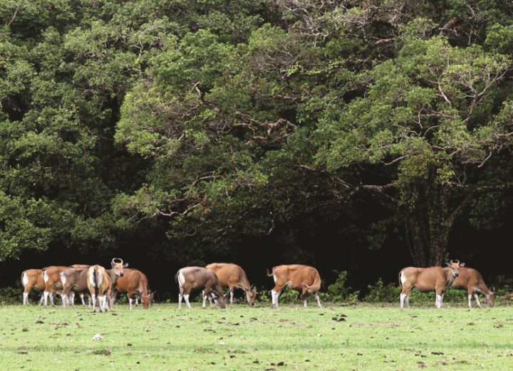 SBSN Danai Lima Taman Nasional