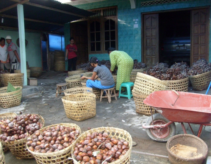 Kewirausahaan Pascabencana, Kenapa Tidak?