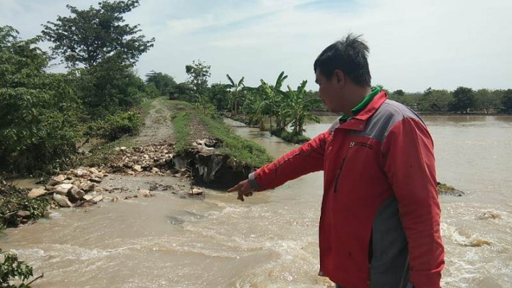 Tanggul Sungai Winong Jebol, Puluhan Hektare Sawah Terendam