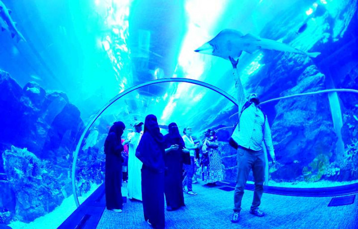 Jadi 'Aquaman' dalam Mall of Dubai