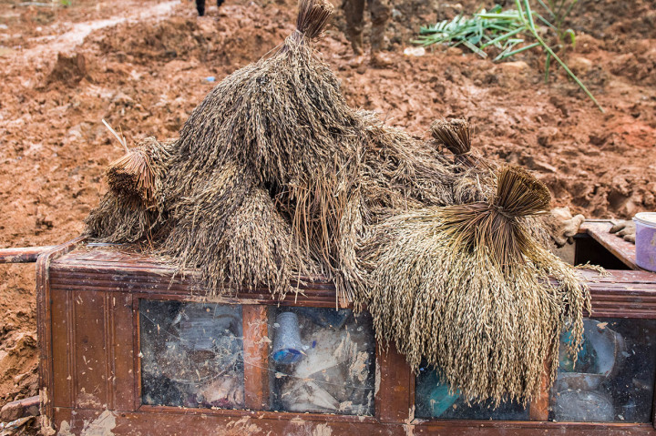 Warga Korban Longsor Cisolok Selamatkan Padi Mereka