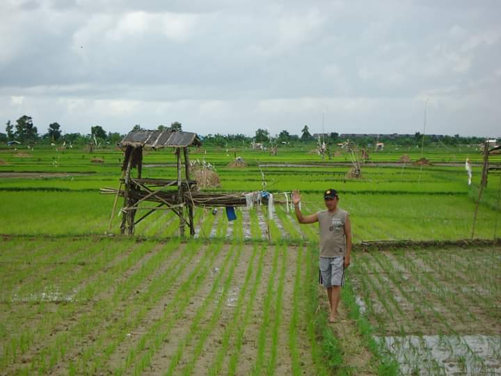 Zaini, Petani yang Berhasil Menyulap Hasil Panen