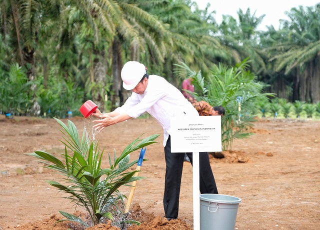 Presiden Joko Widodo melaunching penanaman perdana program peremajaan kebun kelapa sawit di Desa Panca Tunggal, Sungai Lilin, Kabupaten Musi banyuasin, Sumatra Selatan. (MI/YENNIZAR LUBIS).