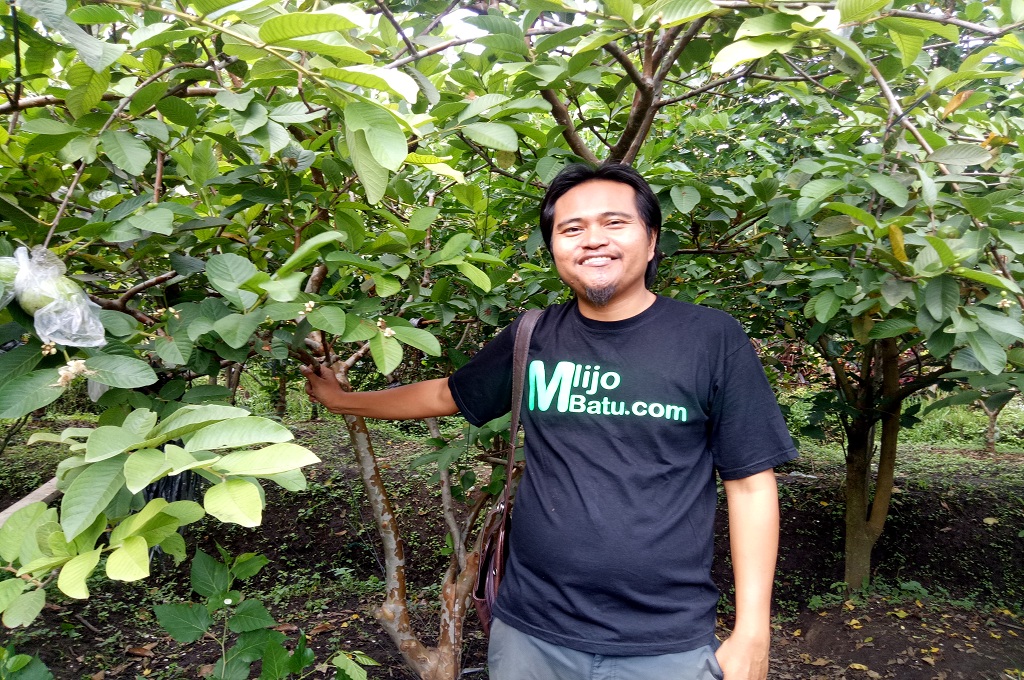 Rahmad Hardiyanto, lulusan sarjana teknik, menjadi petani sukses yang memproduksi jambu kristal di Kota Batu, Medcom.id - Daviq Umar