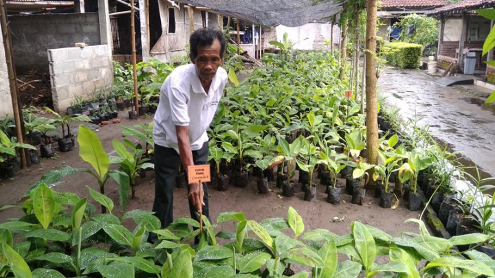 Bibit Pisang Antar Mbah Lasiyo Jadi Pembicara di Italia