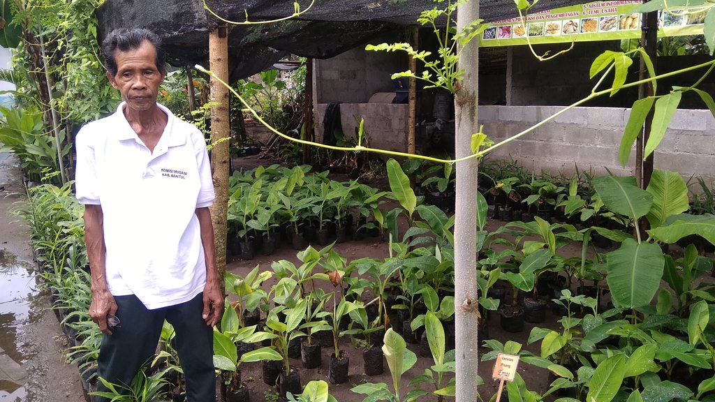 Lasiyo Syaifudin, petani inspiratif yang membuat berbagai bibit pohon pisang di Dusun Ponggok, Sidomulyo, Kecamatan Bambanglipuro, Kabupaten Bantul, Daerah Istimewa Yogyakarta, Rabu, 16 Januari 2019. Medcom.id/ Ahmad Mustaqim.