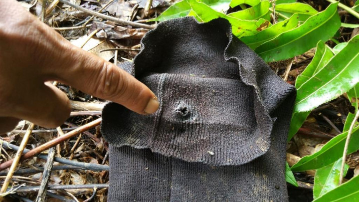 Karyawan TWNC Tewas Diserang Harimau