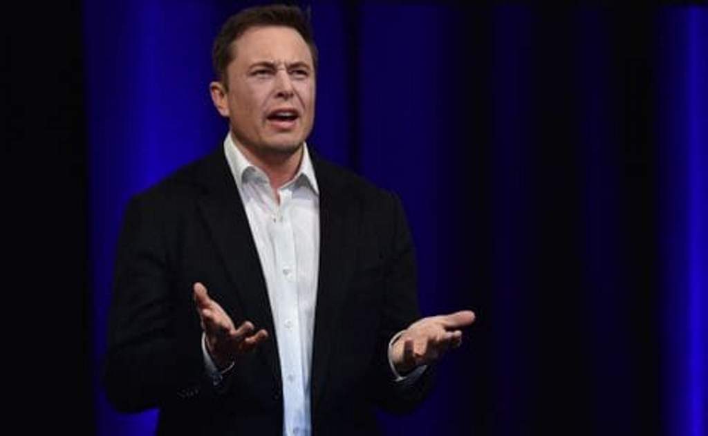 CEO Tesla Elon Musk (PETER PARKS/AFP)