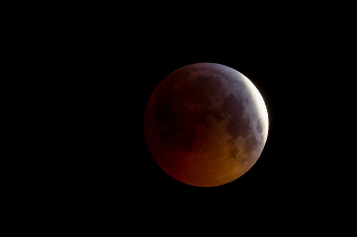 Apa Itu Super Blood Wolf Moon?