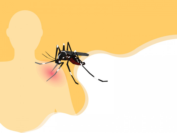 Kenali DBD dan Langkah Antisipasinya