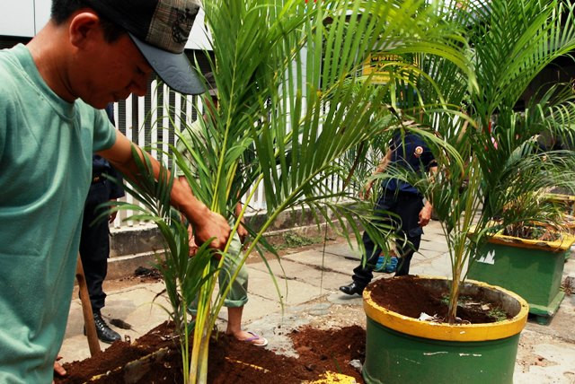 Gunakan Tanaman Ini Untuk Dinginkan Ruangan Tanpa AC - Medcom.id