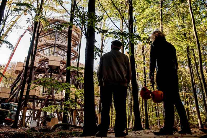 Menara Observasi Ramah Difabel di Tengah Hutan
