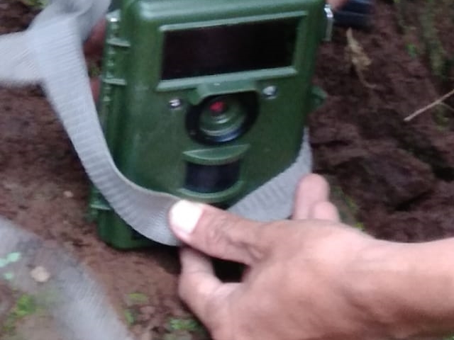 BBKSDA Jatim Buru Predator di Penangkaran Coban Jahe