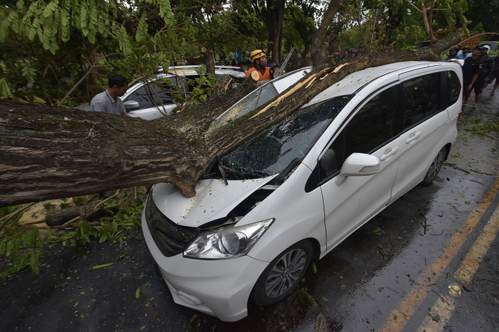 Angin Kencang Landa Bali, Pohon Bertumbangan