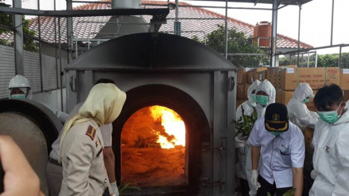 Kementan Musnahkan Benih Rempah Impor Ilegal