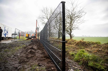 Cegah Flu Babi Afrika, Denmark Bangun Pagar Perbatasan