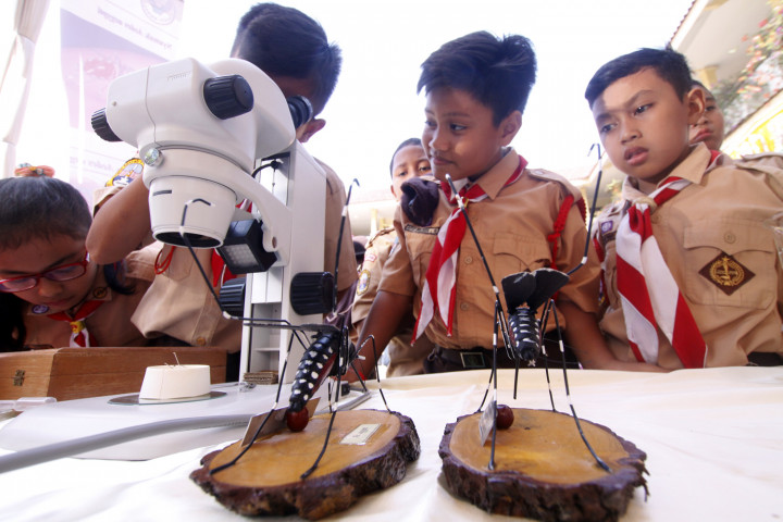 Kemenkes Ingin Jumantik Lahir di Setiap Rumah