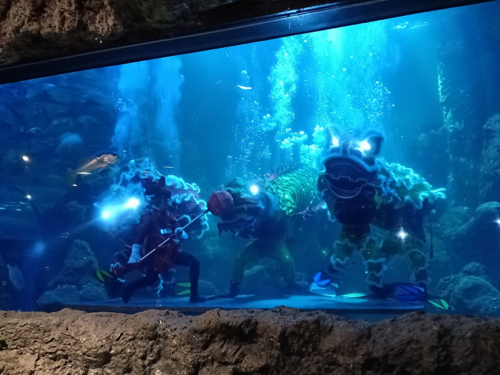 Reog Ponorogo Bakal Ramaikan Imlek di Ancol