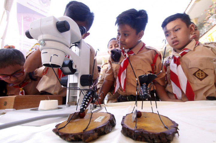 <i>Fogging</i> Tak Efektif Basmi Nyamuk DBD