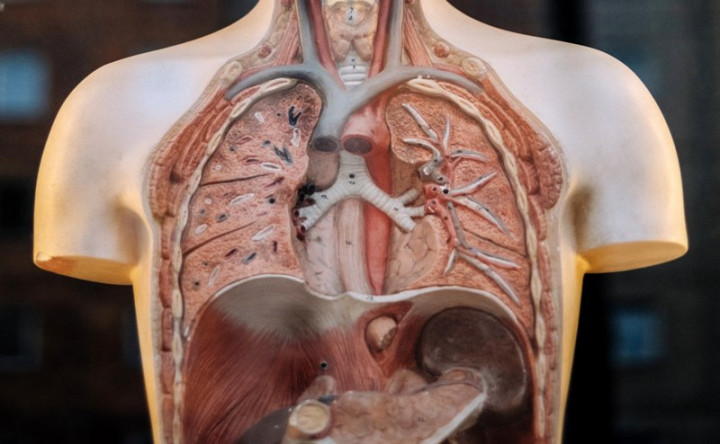 Kenali Gejala Awal Kanker Paru-paru