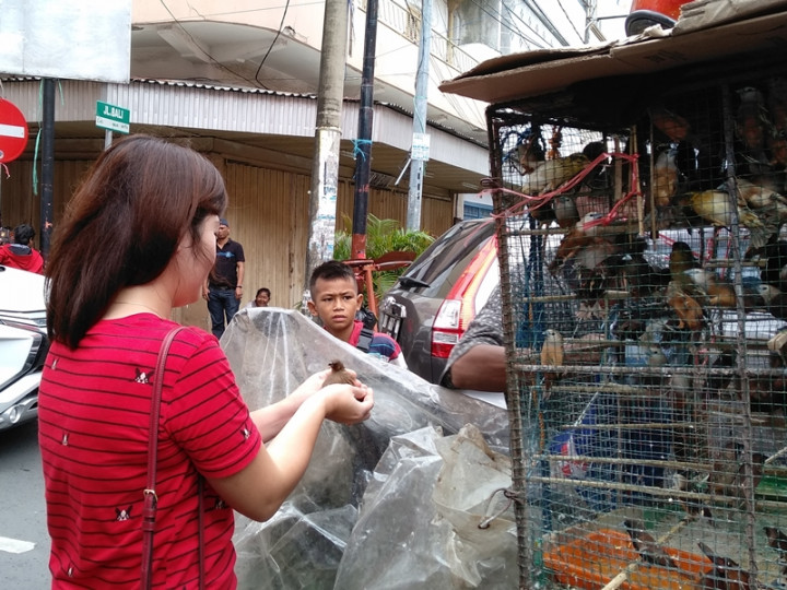 Tradisi Melepas Burung Pipit Kala Imlek