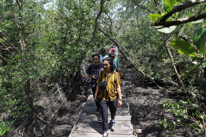 Program Perhutanan Nasional Beri Kesempatan Masyarakat Kelola SDA