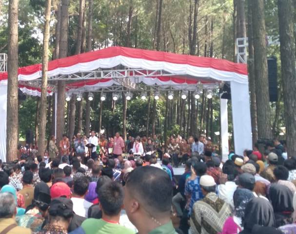 Pemerintah Targetkan Pemanfaatan 1 Juta Hektare Hutan Negara