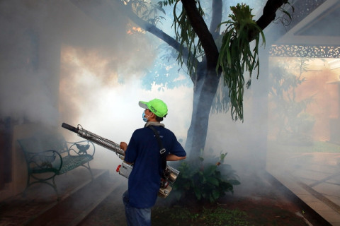 Masyarakat Diminta Mewaspadai DBD saat Peralihan Musim