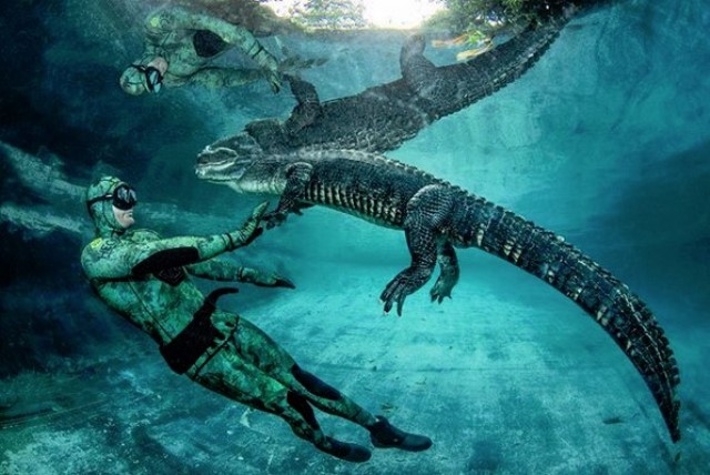 Tur 'Gila' dengan Aligator