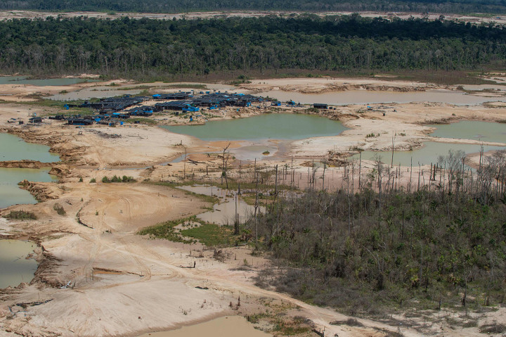 Penampakan Hutan Amazon yang Gundul Akibat Penambangan Ilegal