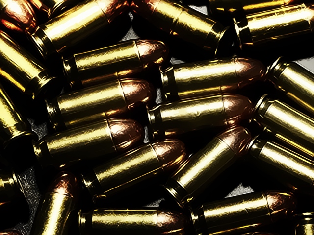 Bandara Soetta Sita 200 Butir Peluru Kaliber 22