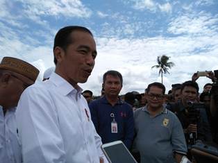 Presiden Puji Panen Raya Jagung di Gorontalo Capai 1,7 Juta Ton