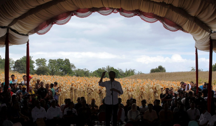 Jokowi: Ekspor untuk Jaga Stabilitas Harga Jagung