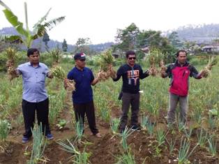 Dinas Pertanian Wonosobo Undang Importir Tanam Bawang Putih