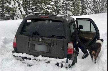 Terjebak Salju, Pria dan Anjingnya Selamat Berkat Saus Taco