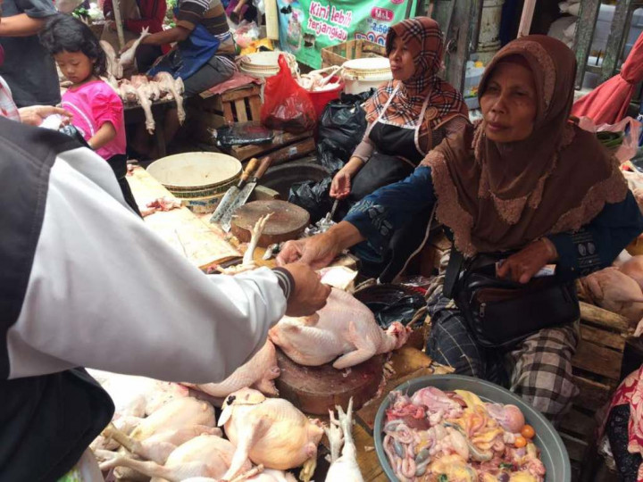 Kementan-Peternak Konsolidasi Harga Ayam