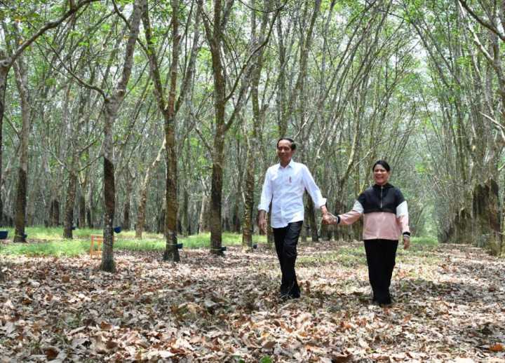 Jokowi Pamer Kemesraan dengan Ibu Negara di Hutan Karet