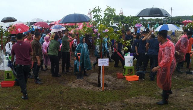 Iriana Jokowi Ajak Ibu Pejabat Menanam dan Menjaga Mangrove