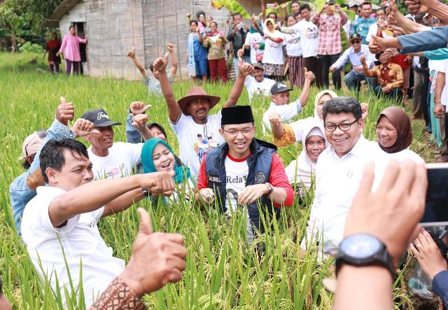Ratusan Petani di Indramayu Siap Menangkan Jokowi-Ma'ruf