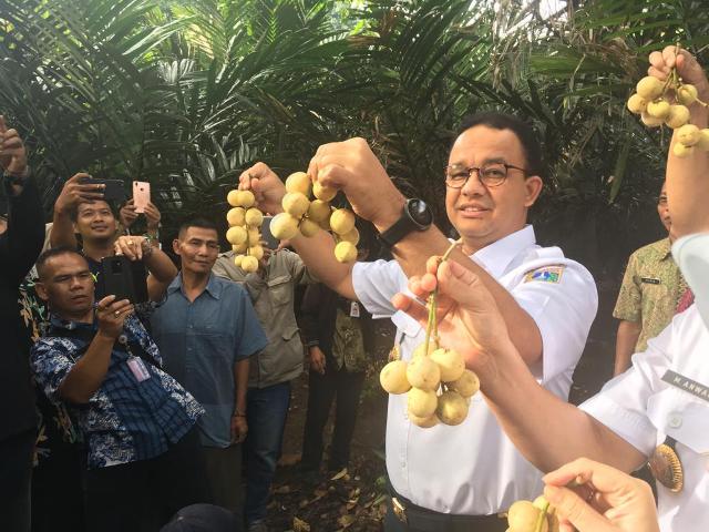 Anies Ajak Masyarakat Lestarikan Cagar Buah Jakarta