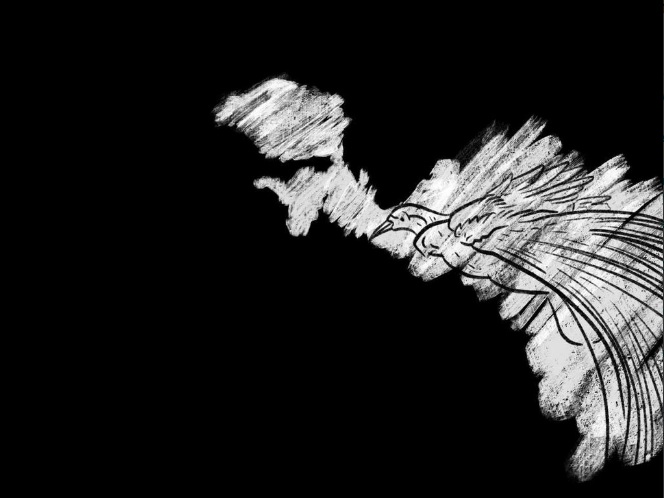 Dukacita Presiden untuk Korban Banjir Sentani