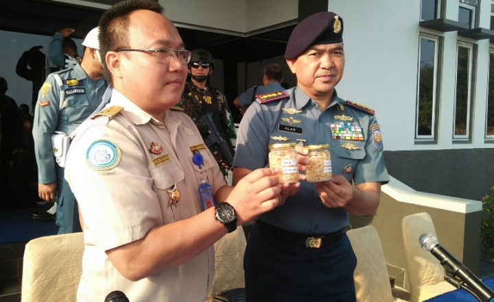 TNI AL Gagalkan Penyelundupan Anak Lobster Senilai Rp46 Miliar